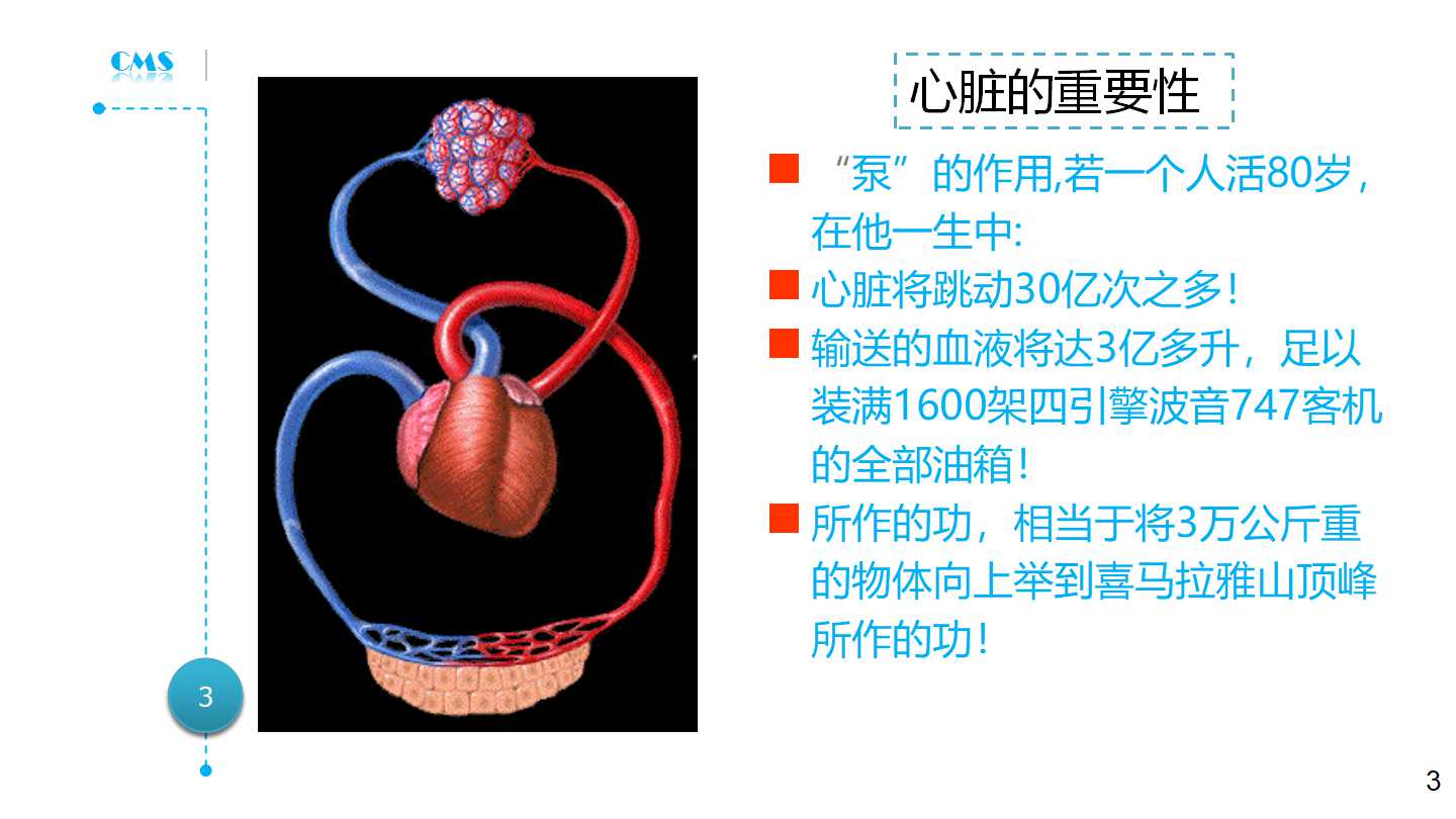 急性心力衰竭的诊断与处理