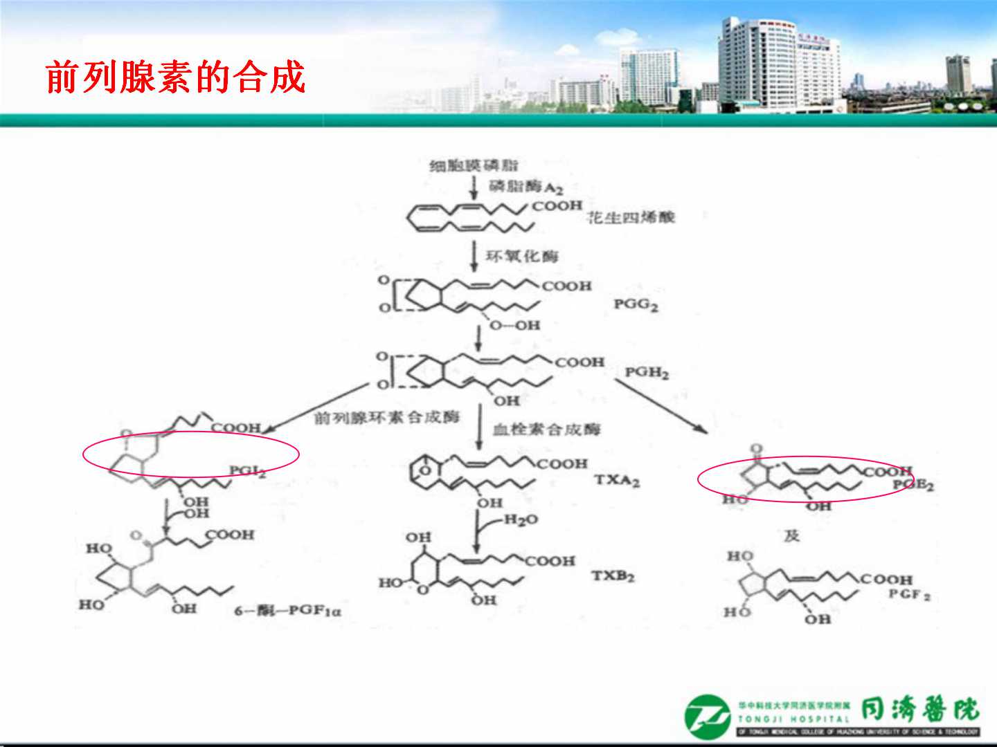 延缓血管损伤，加强慢病管理                 