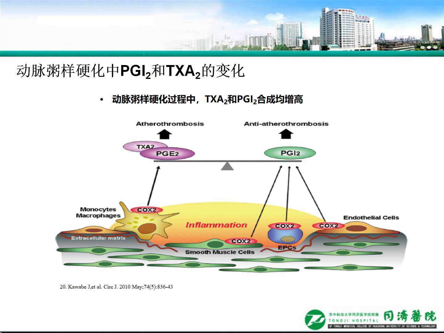 延缓血管损伤，加强慢病管理                 