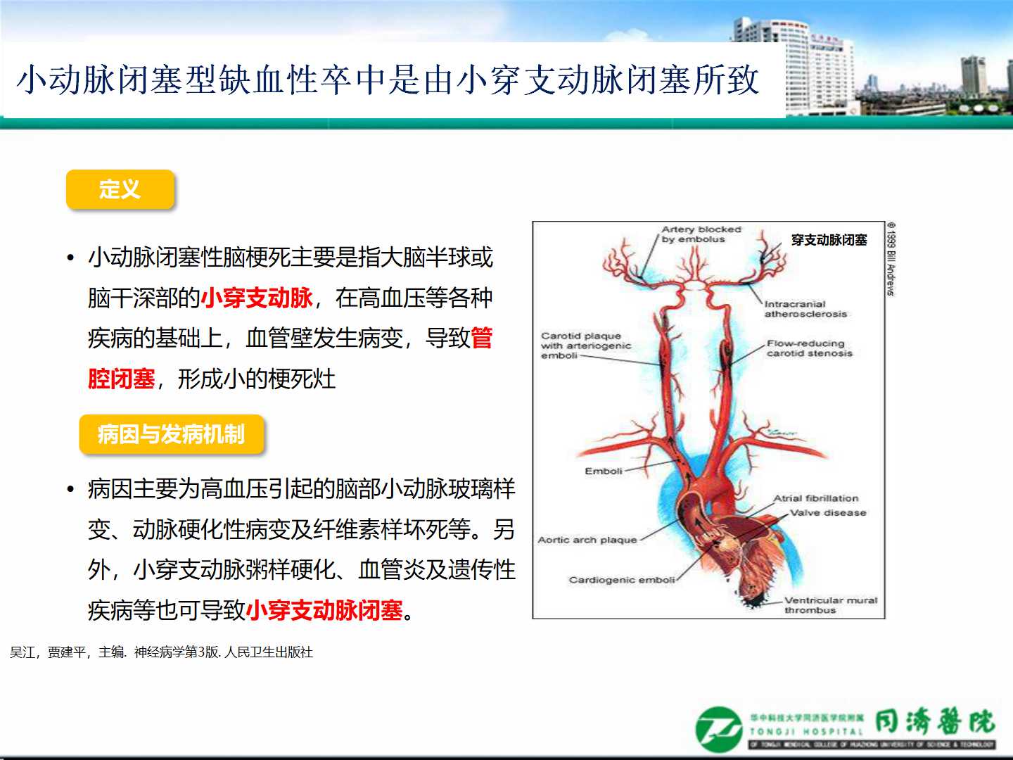 延缓血管损伤，加强慢病管理                 