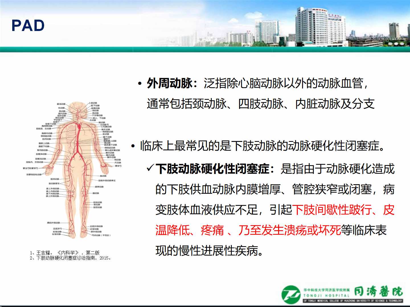 延缓血管损伤，加强慢病管理                 