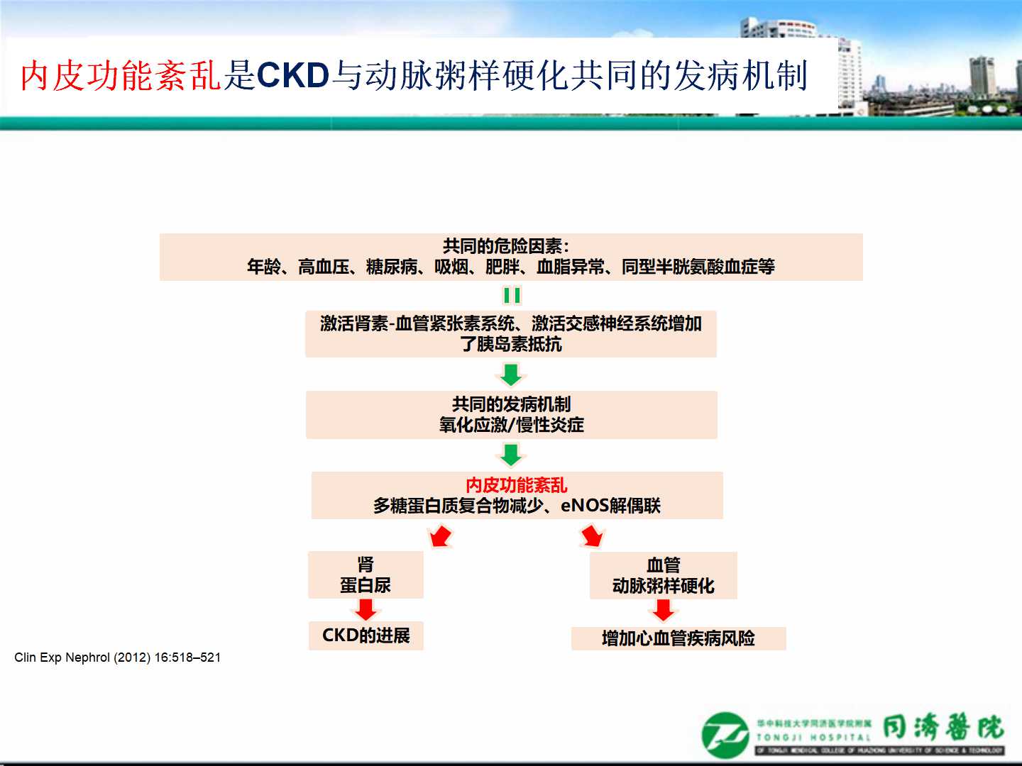 延缓血管损伤，加强慢病管理                 