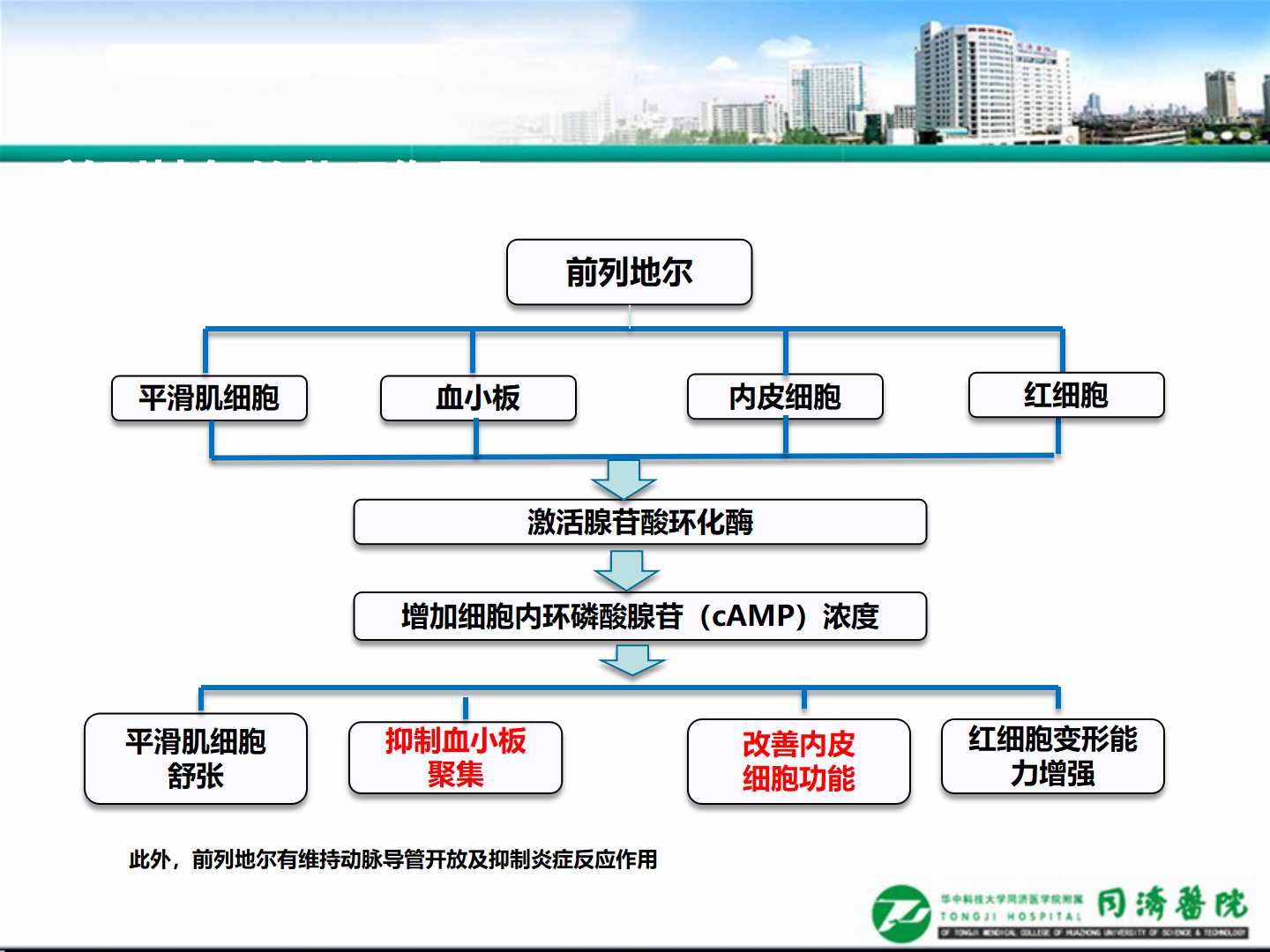 延缓血管损伤，加强慢病管理                 