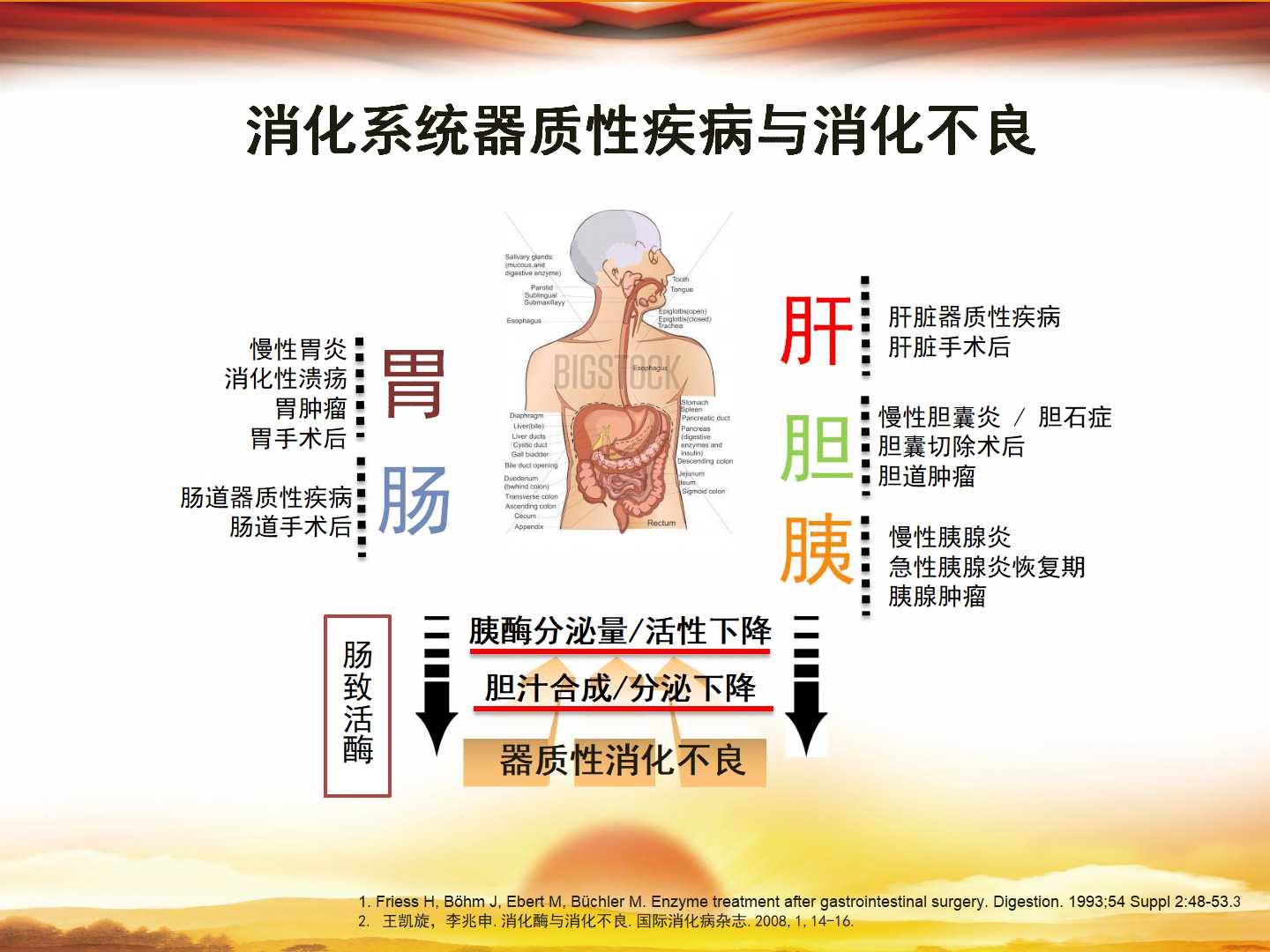 消化酶制剂在老年人消化不良中的应用