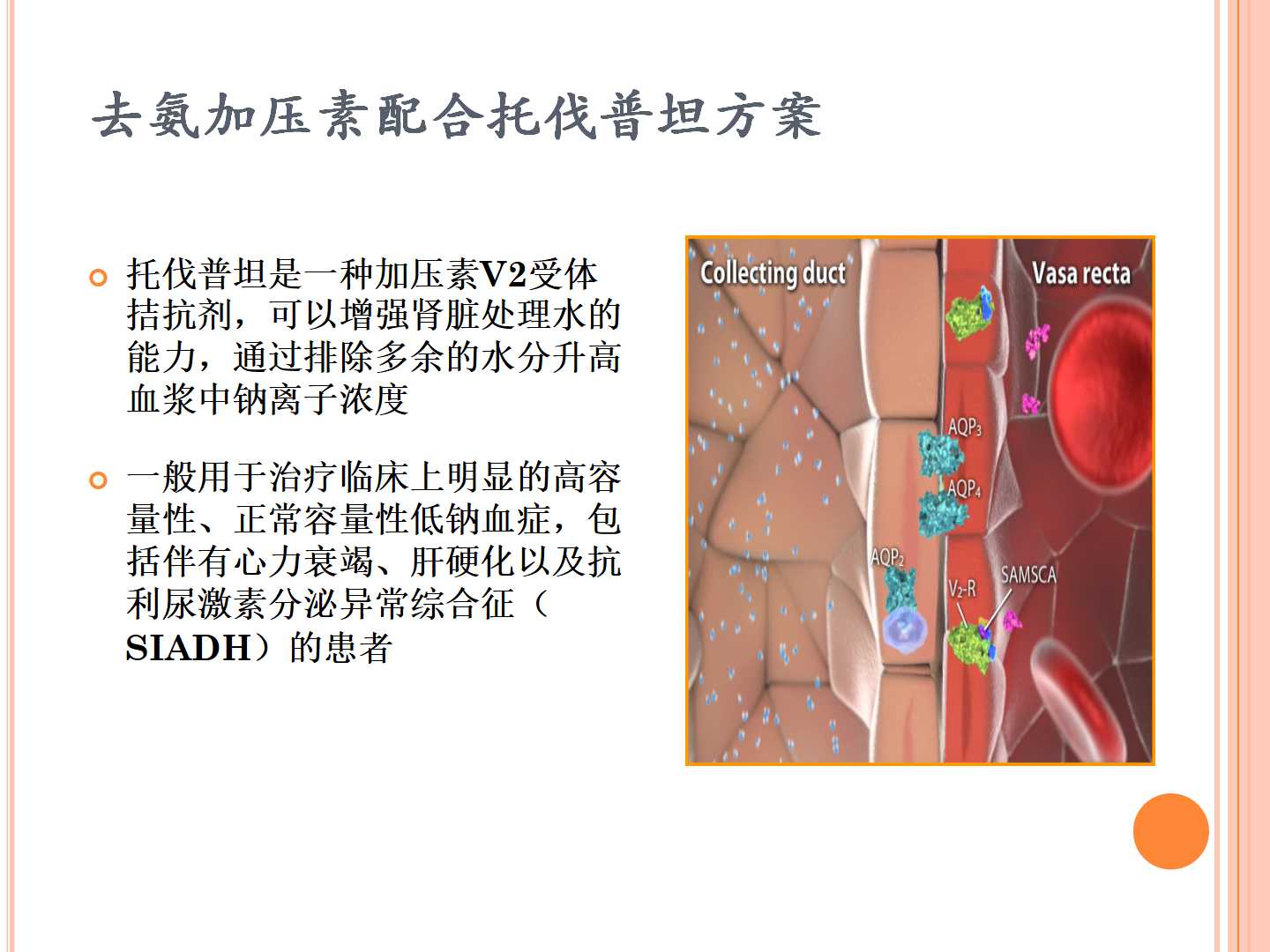 老年人夜尿症与抗利尿激素