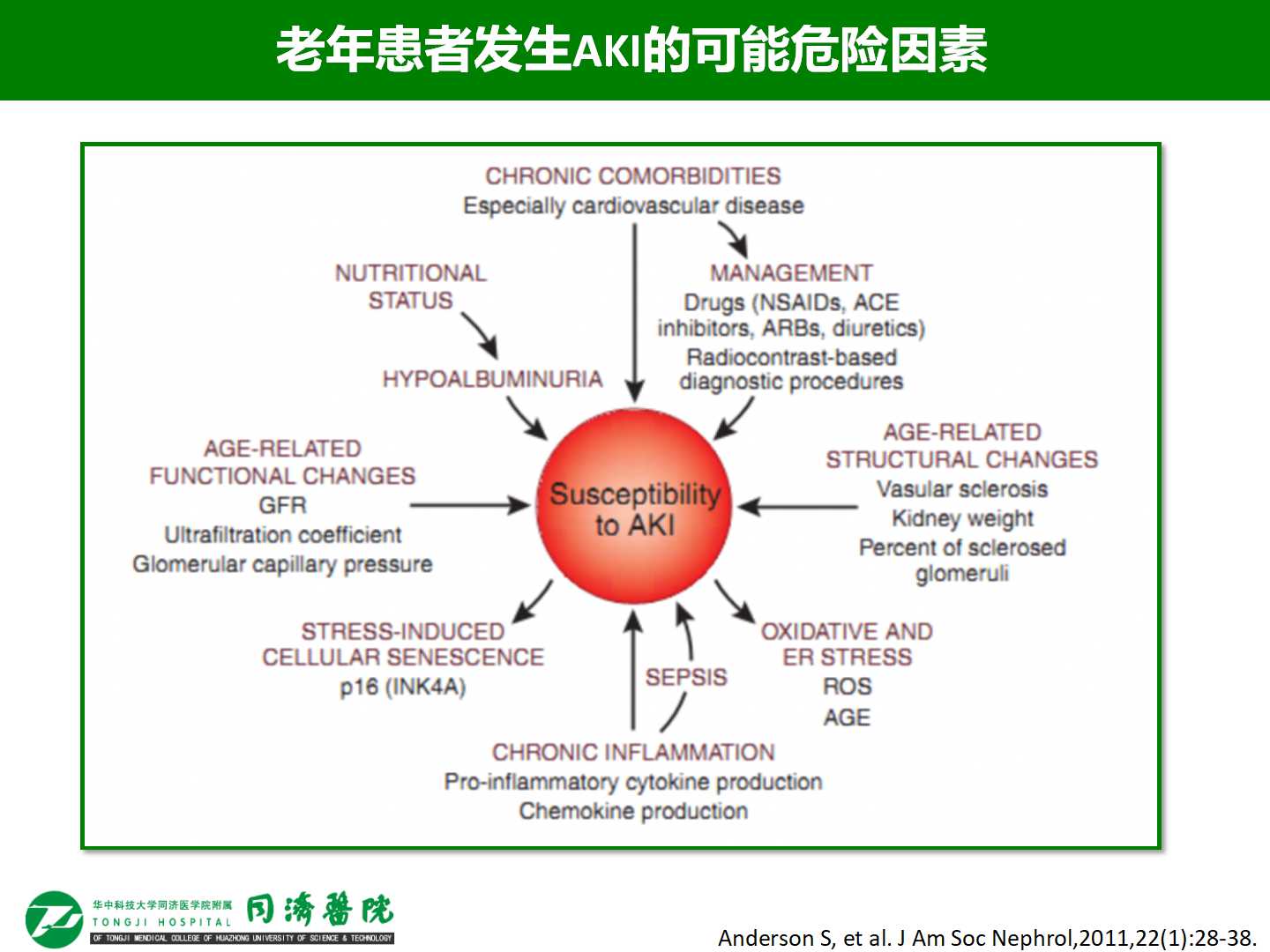 老年急性肾损伤的发病率和危险因素