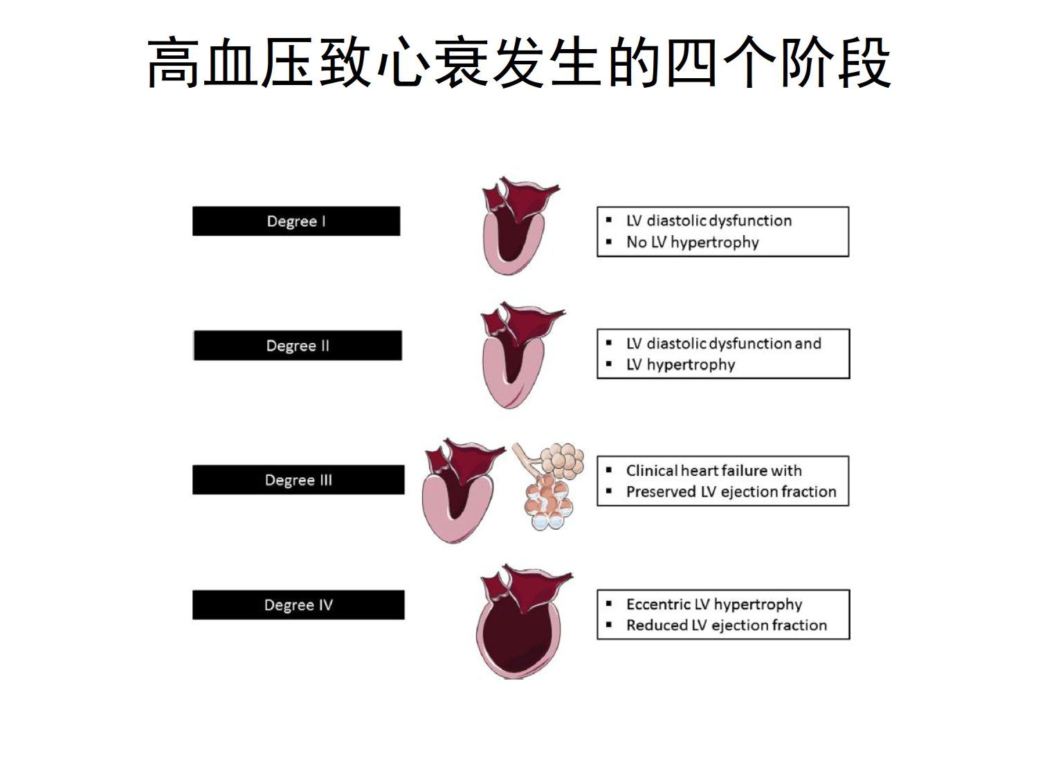 高血压合并心衰的血压管理