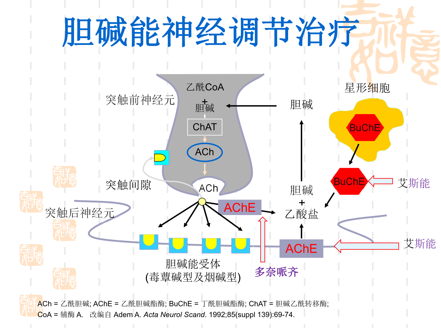 痴呆的精神行为症状诊断和治疗