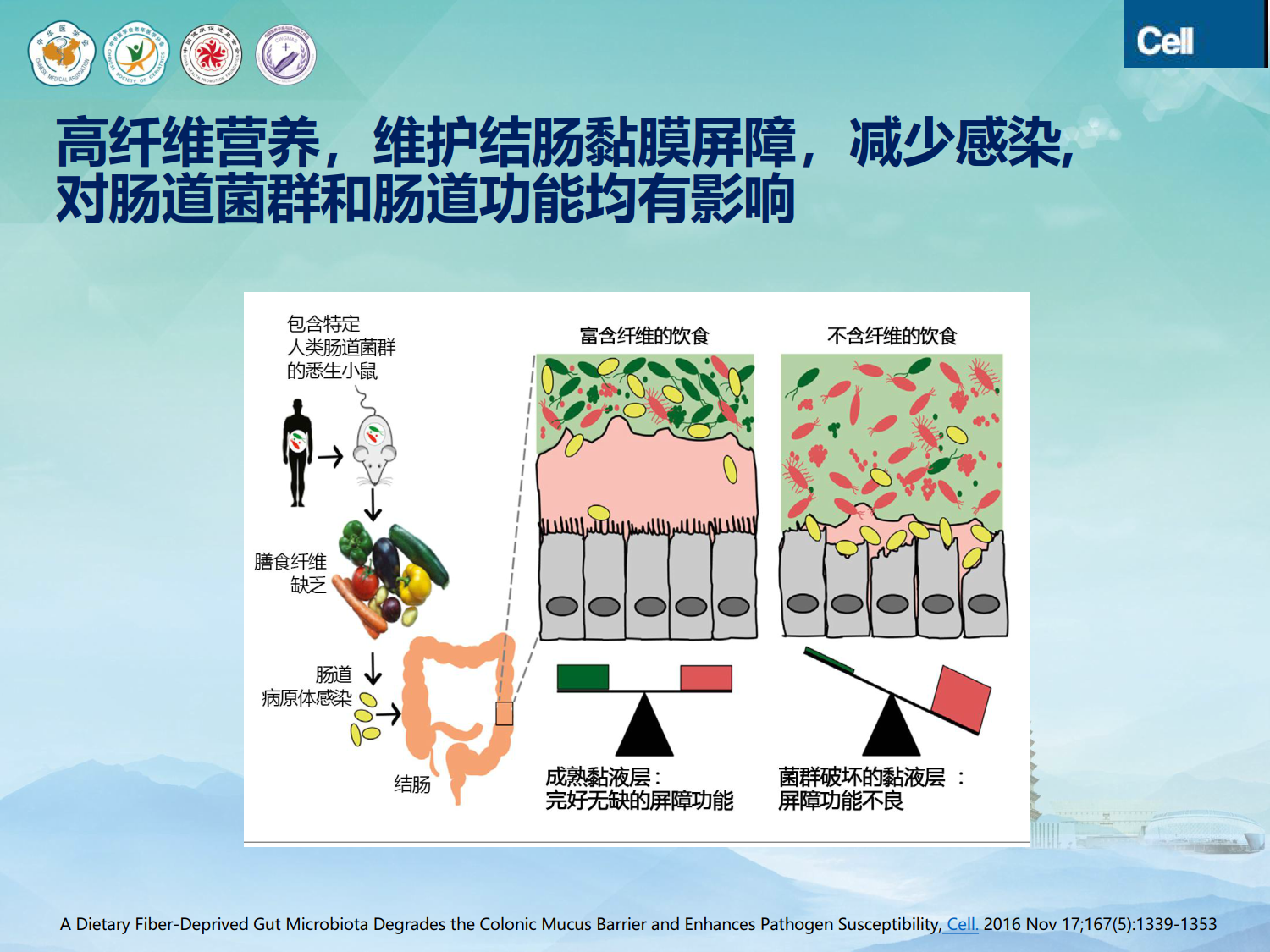 EN腹泻的处理