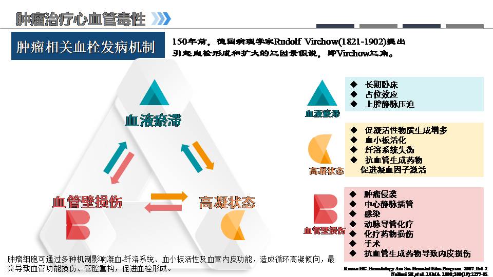 肿瘤心脏病学的兴起老年临床护理新思考