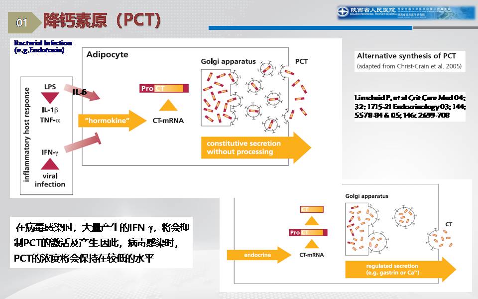 感染相关标志物的临床意义