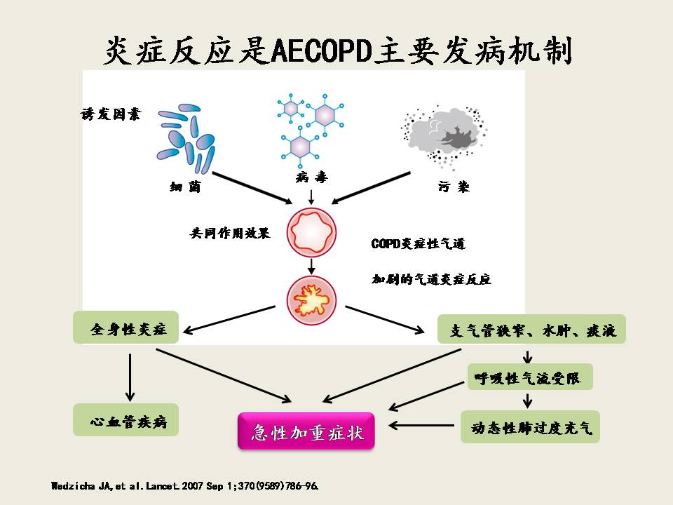 AECOPD的抗菌治疗