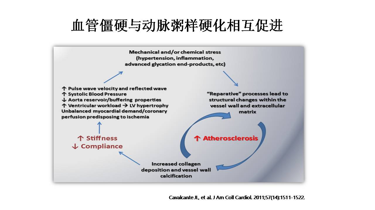 老年脑血管病的诊治