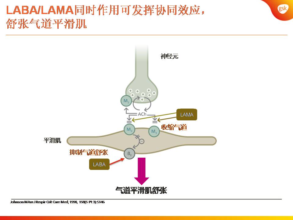 双支气管扩张剂治疗COPD