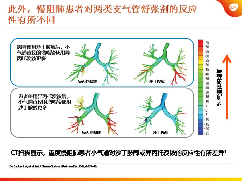 双支气管扩张剂治疗COPD