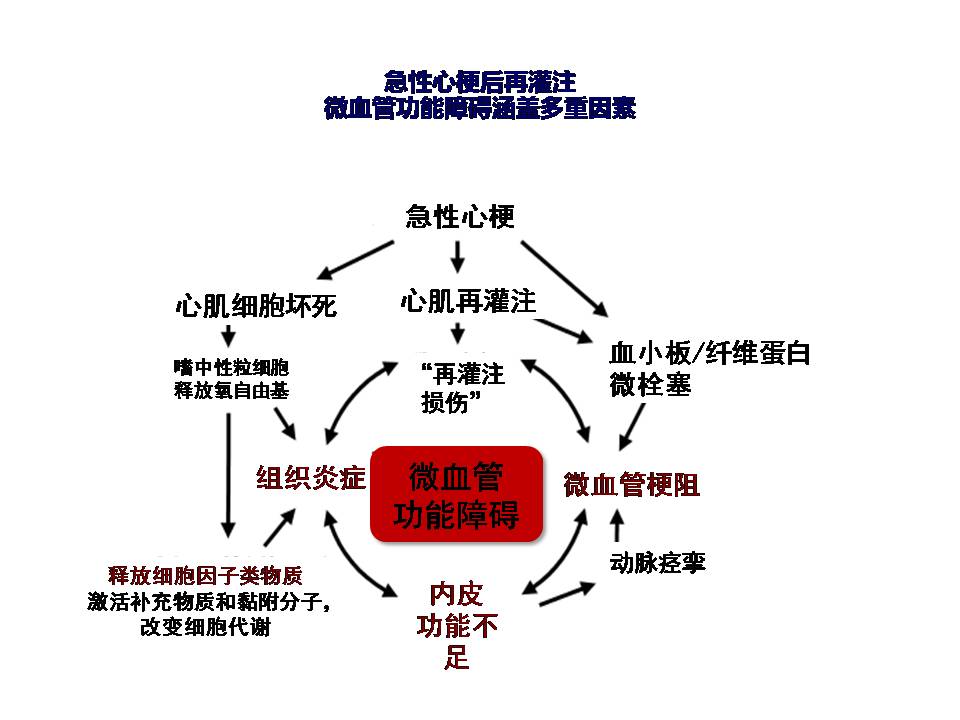 老年冠心病诊治新进展