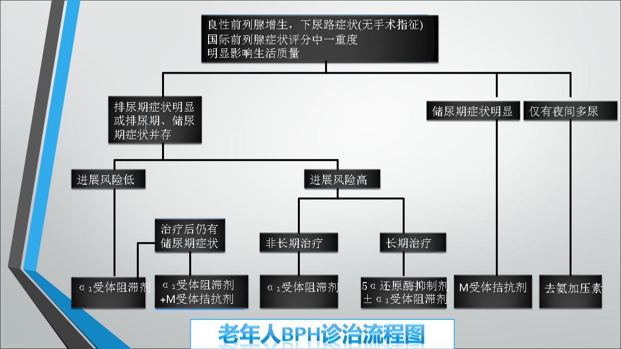 老年人良性前列腺增生症／下尿路症状药物治疗共识（2015版）解读