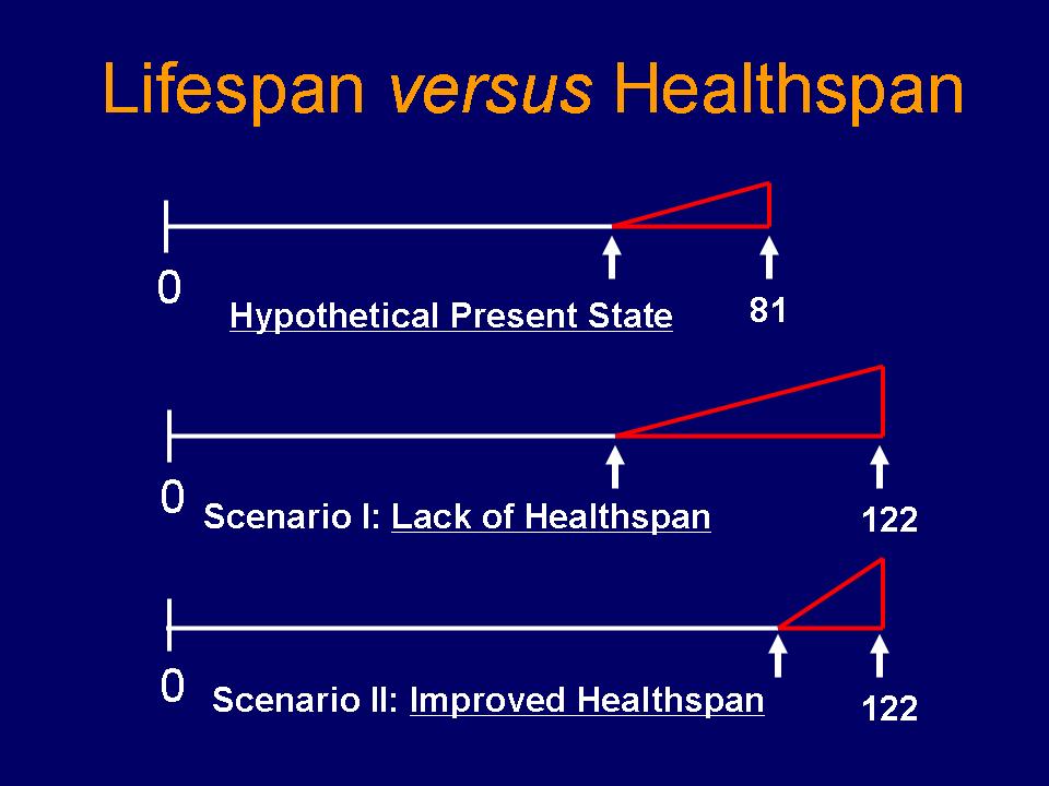 Clinical and Translational Aging Research