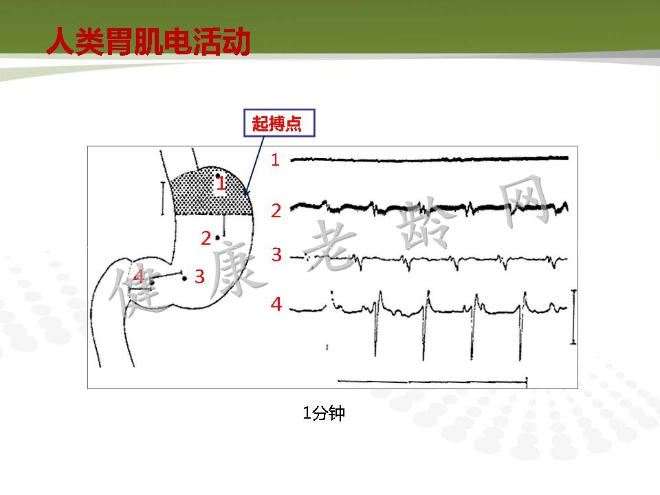 老年人消化道动力改变与临床