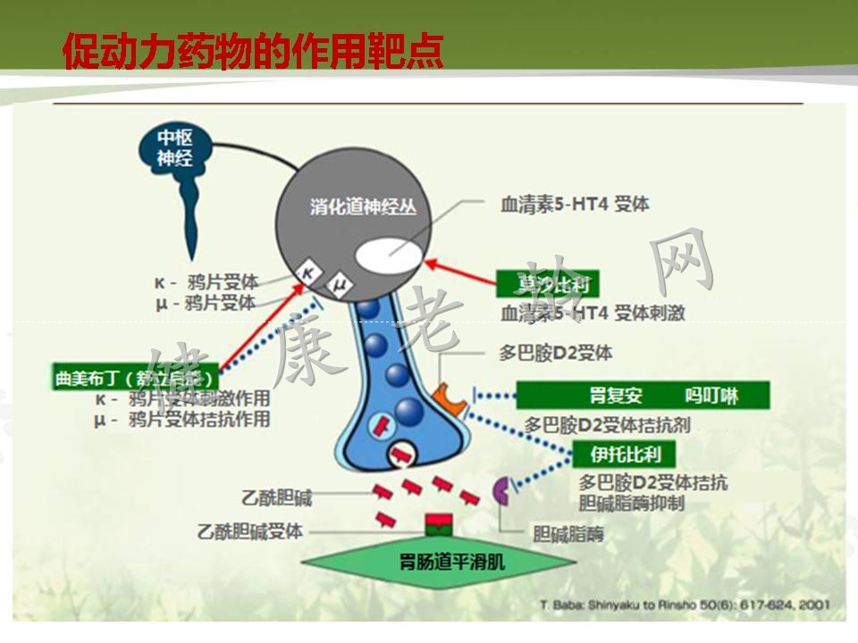 老年人消化道动力改变与临床