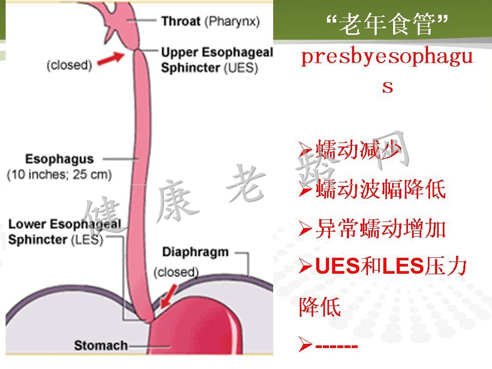 老年人消化道动力改变与临床