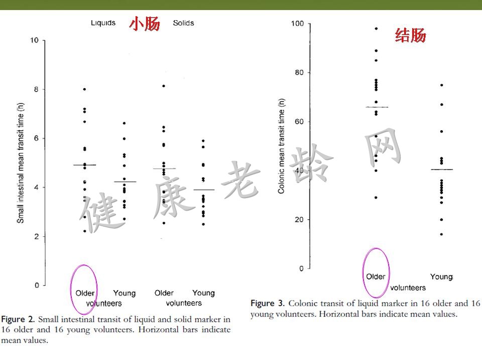 老年人消化道动力改变与临床