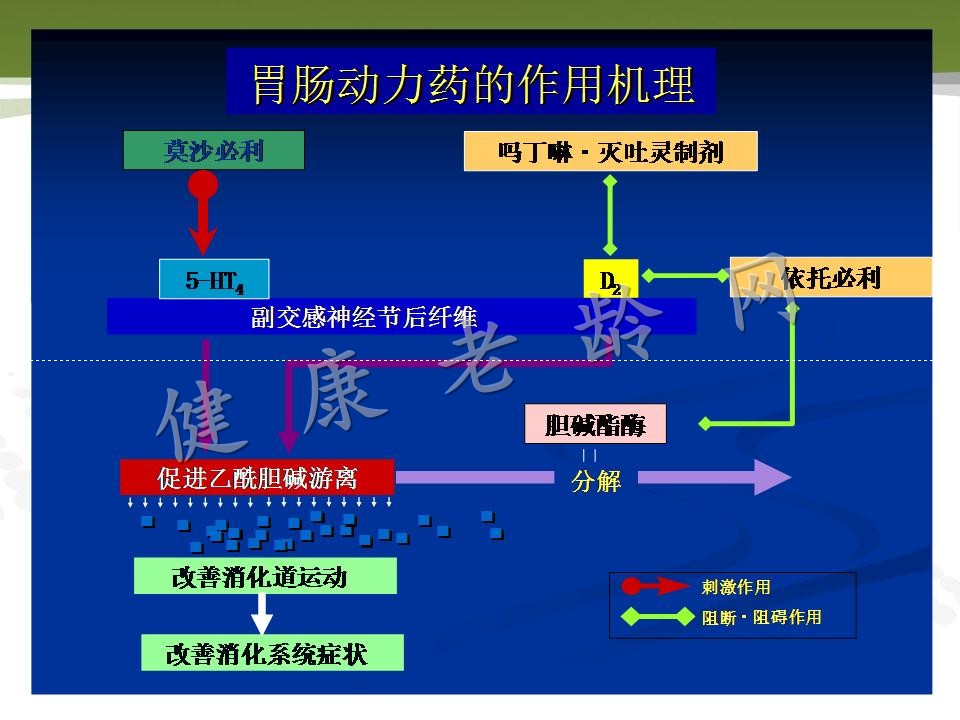 老年人消化道动力改变与临床