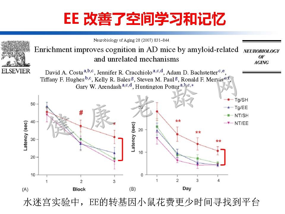 认知训练在认知障碍治疗中的作用：从临床到机制