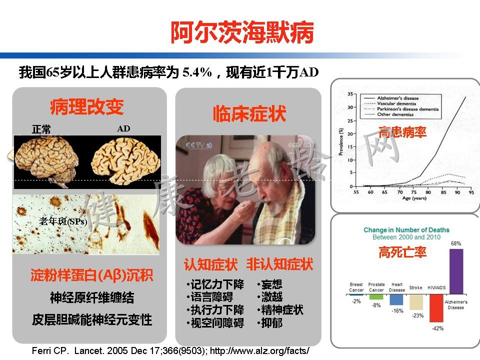 认知训练在认知障碍治疗中的作用：从临床到机制