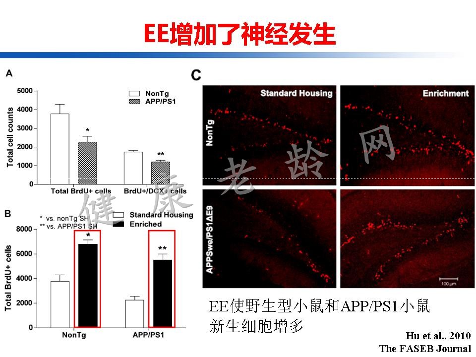 认知训练在认知障碍治疗中的作用：从临床到机制