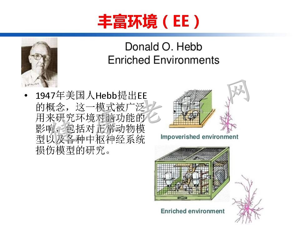 认知训练在认知障碍治疗中的作用：从临床到机制