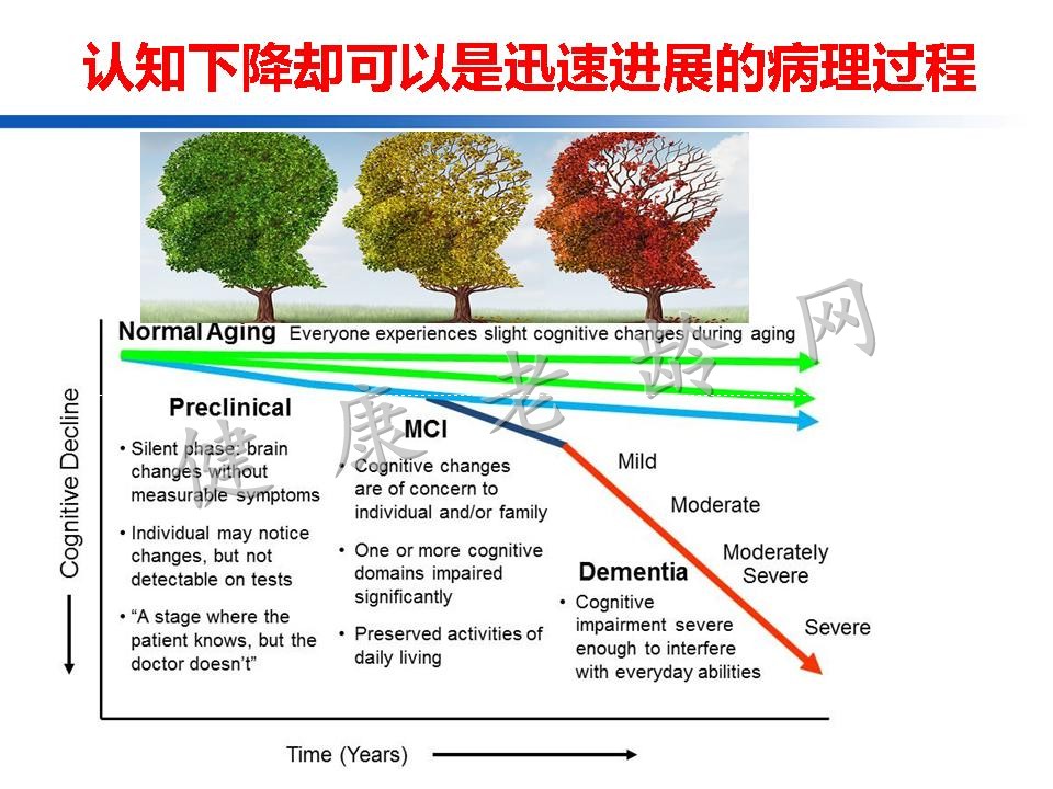 认知训练在认知障碍治疗中的作用：从临床到机制