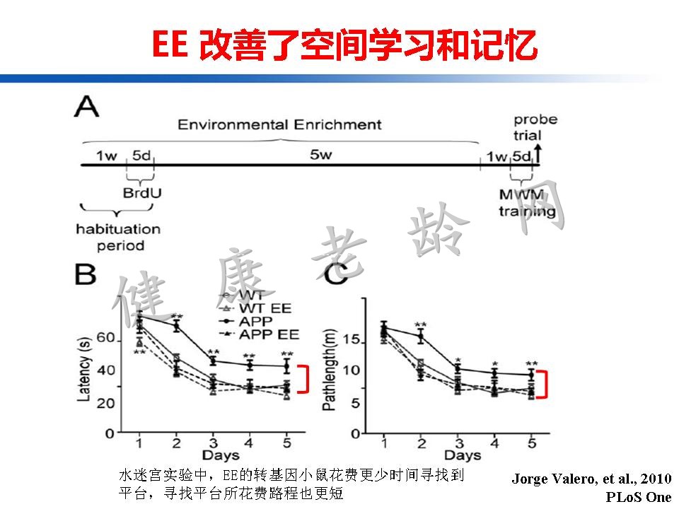 认知训练在认知障碍治疗中的作用：从临床到机制