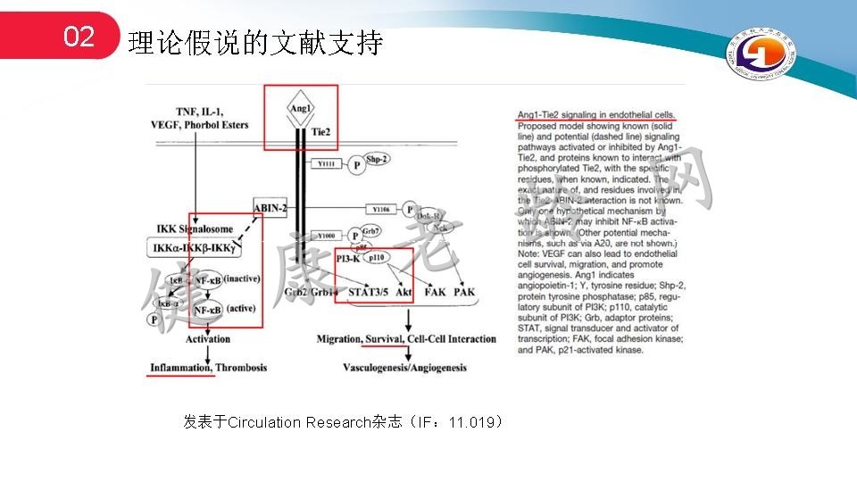 miR-21-5p通过抑制细胞凋亡和炎症来缓解受损大脑微血管内皮屏障的渗漏