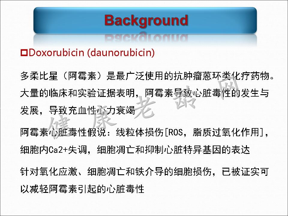 线粒体乙醛脱氢酶2对阿霉素所致心脏毒性的保护作用及其TRPV1介导的线粒体损伤机制研究