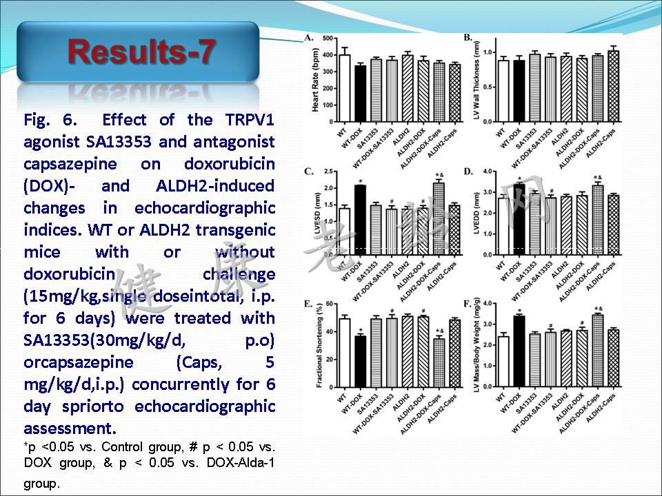 线粒体乙醛脱氢酶2对阿霉素所致心脏毒性的保护作用及其TRPV1介导的线粒体损伤机制研究
