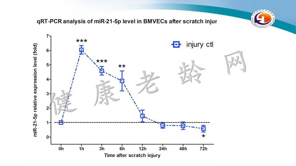 miR-21-5p通过抑制细胞凋亡和炎症来缓解受损大脑微血管内皮屏障的渗漏