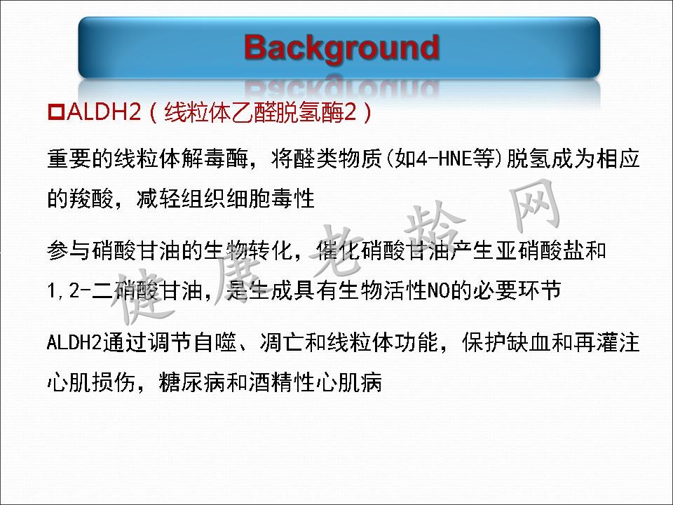 线粒体乙醛脱氢酶2对阿霉素所致心脏毒性的保护作用及其TRPV1介导的线粒体损伤机制研究