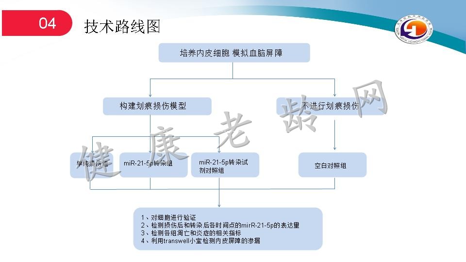 miR-21-5p通过抑制细胞凋亡和炎症来缓解受损大脑微血管内皮屏障的渗漏