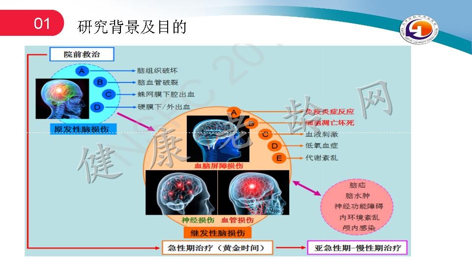 miR-21-5p通过抑制细胞凋亡和炎症来缓解受损大脑微血管内皮屏障的渗漏