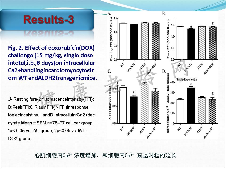 线粒体乙醛脱氢酶2对阿霉素所致心脏毒性的保护作用及其TRPV1介导的线粒体损伤机制研究