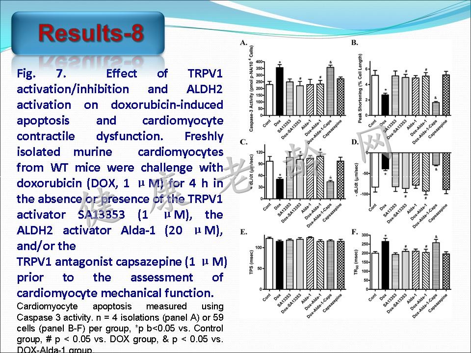 线粒体乙醛脱氢酶2对阿霉素所致心脏毒性的保护作用及其TRPV1介导的线粒体损伤机制研究