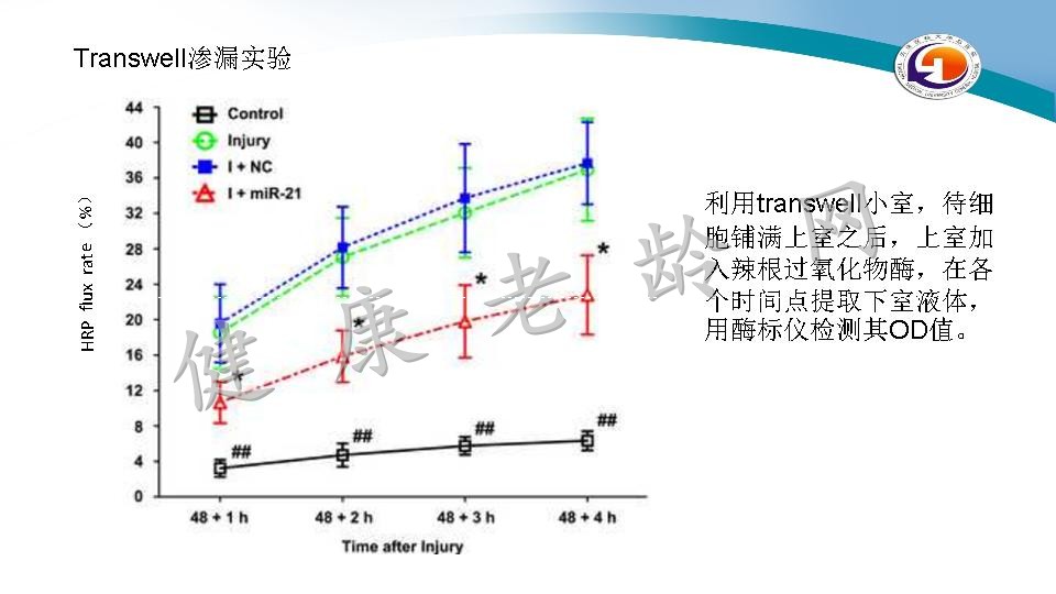 miR-21-5p通过抑制细胞凋亡和炎症来缓解受损大脑微血管内皮屏障的渗漏