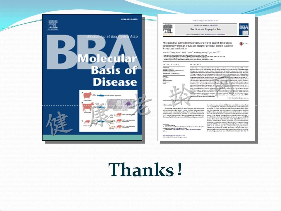 线粒体乙醛脱氢酶2对阿霉素所致心脏毒性的保护作用及其TRPV1介导的线粒体损伤机制研究