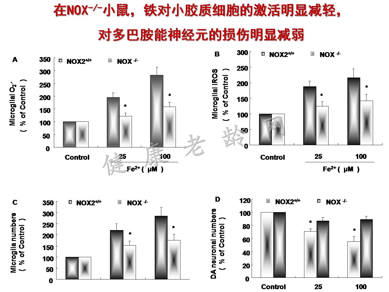 帕金森病铁代谢异常及其机制的研究