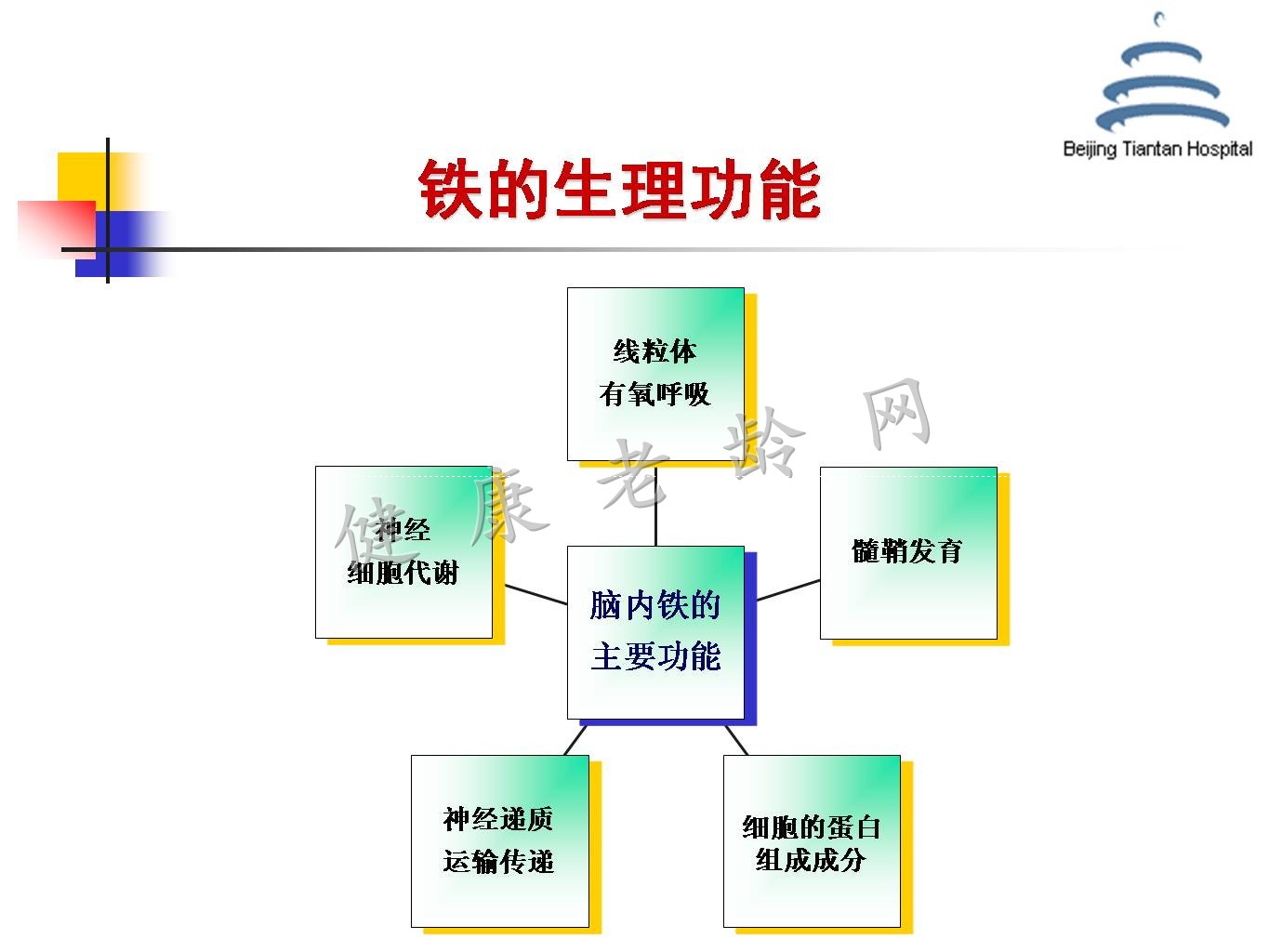 帕金森病铁代谢异常及其机制的研究