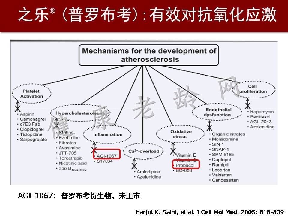 心脑血管疾病防治新策略——抗氧化应激