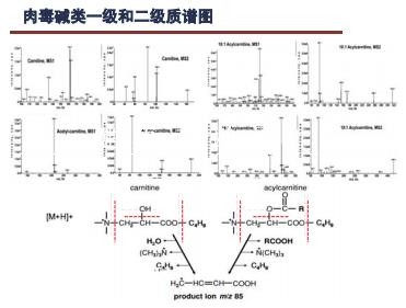 代谢组学在心血管疾病危险预测及机制研究中的应用