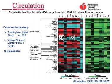 代谢组学在心血管疾病危险预测及机制研究中的应用