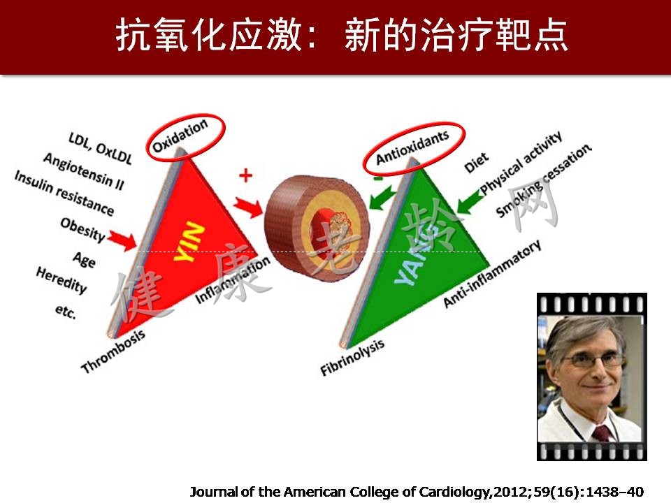 心脑血管疾病防治新策略——抗氧化应激